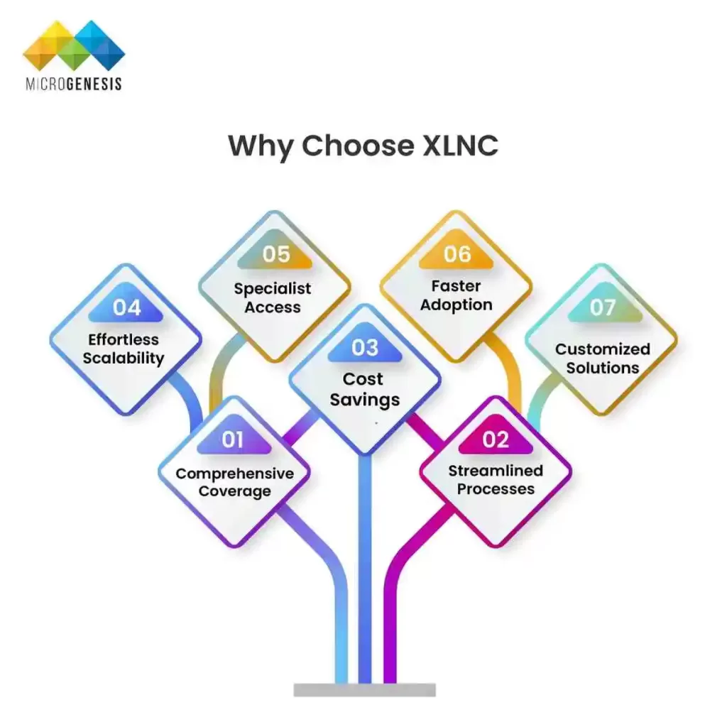 Why Choose XLNC?​
