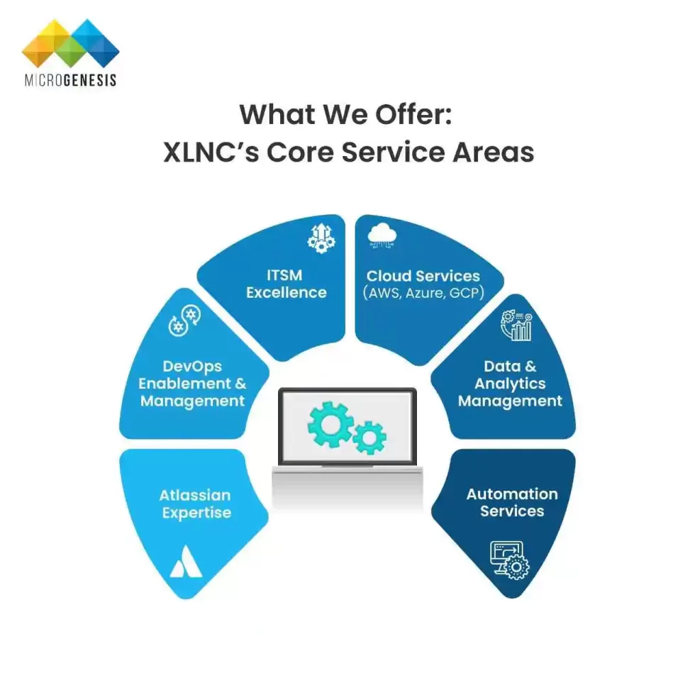 What We Offer: XLNC’s Core Service Areas